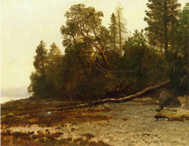 Albert Bierstadt Painting The Fallen Tree